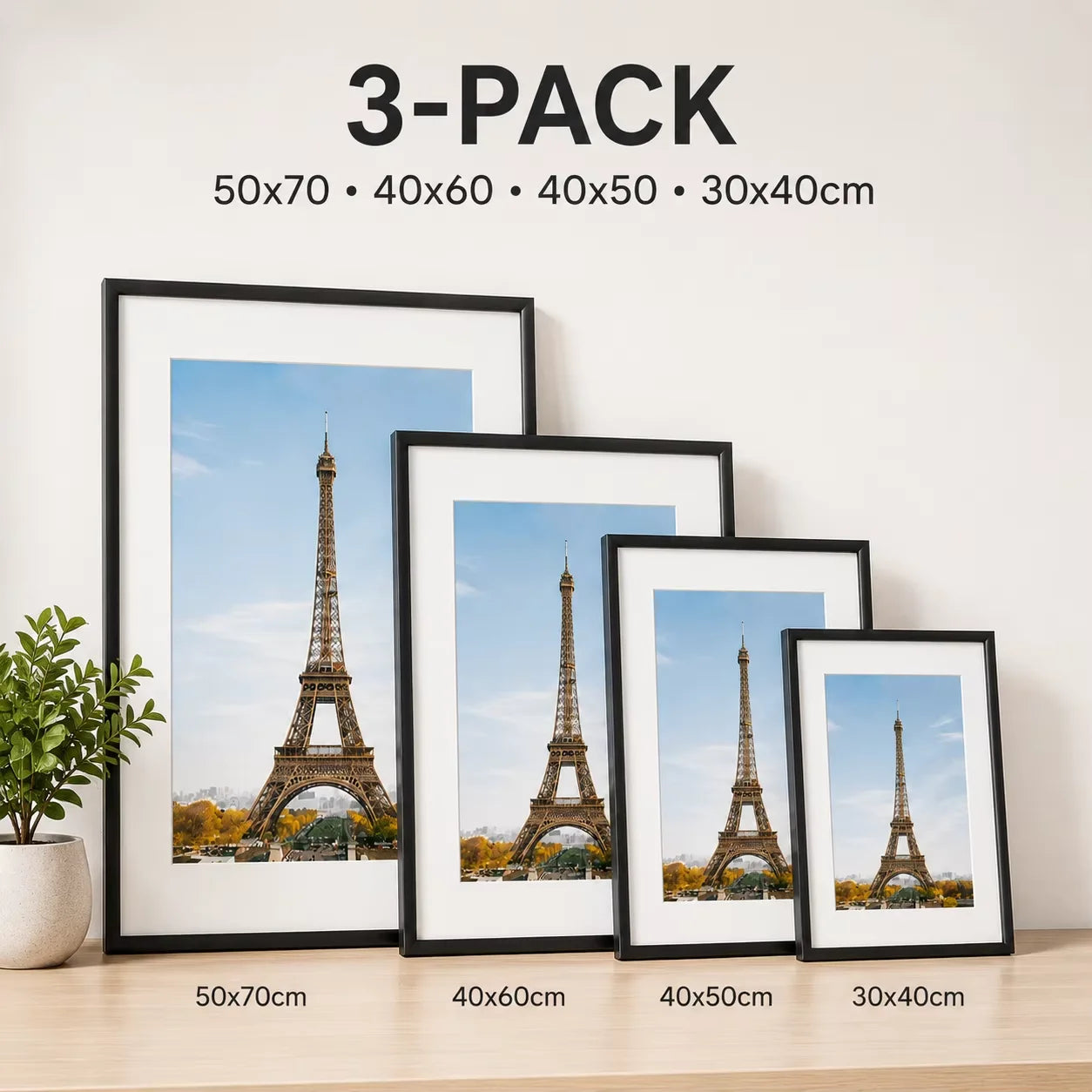 Aluminum Picture Frames Set Three Pack With Mat Wall Art