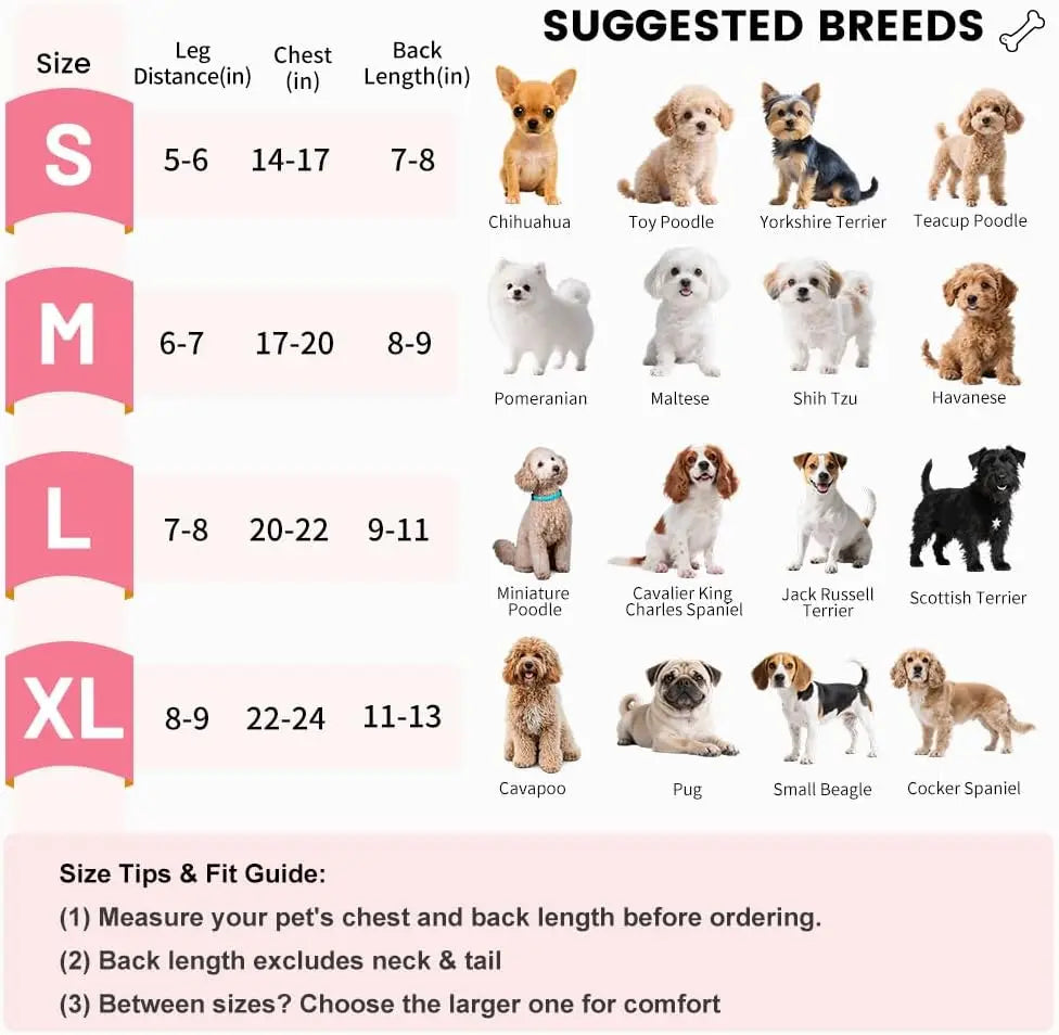 Front Carrier for Small Dogs and Cats with Breathable Legs Out Design